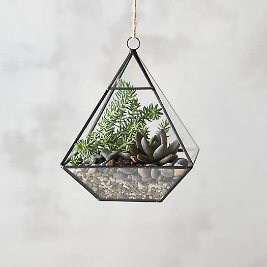 Framed Pyramid Hanging Terrarium