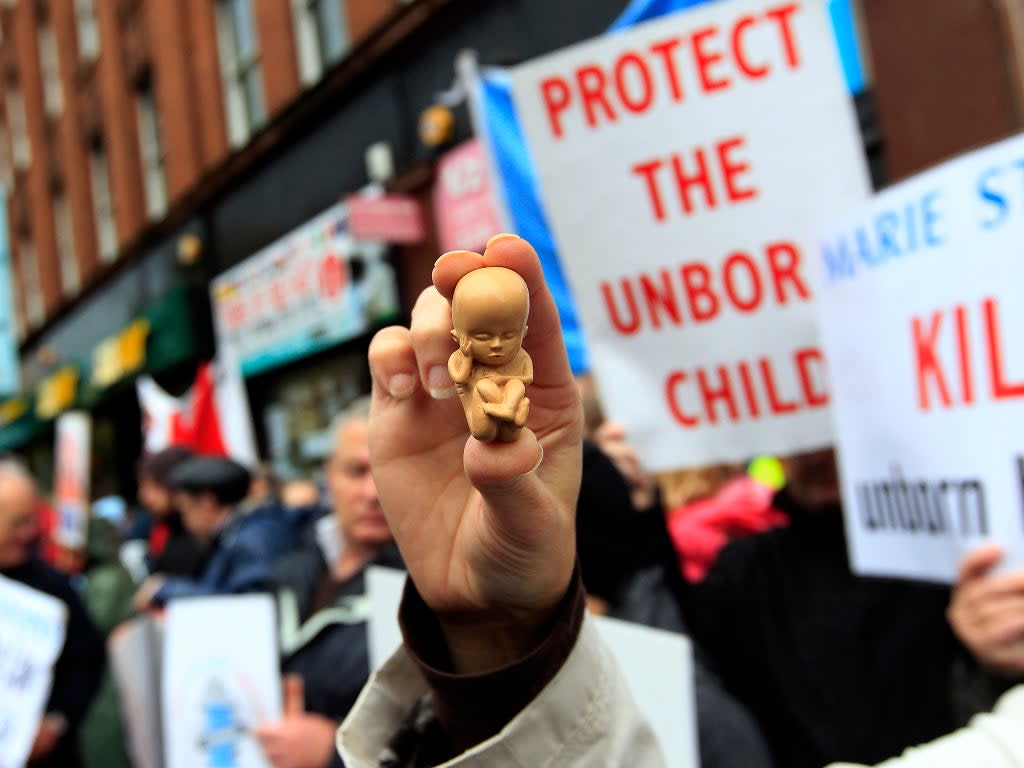 A pro-life campaigner holds up a model of a 12-week-old embryo (Reuters)