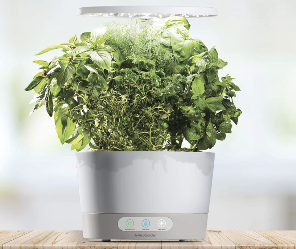 Grow your own herbs! (Photo: Amazon)