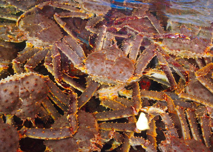 Live hairy crab and king crab are sold by the gram. The price for one hairy crab starts at around 13,000 yen and that for a king crab around 3,000 yen. Prices vary according to weight.