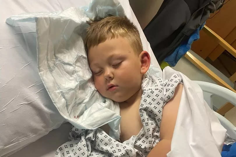 Kaiden Burn, from Ashington, who was attacked by a dog