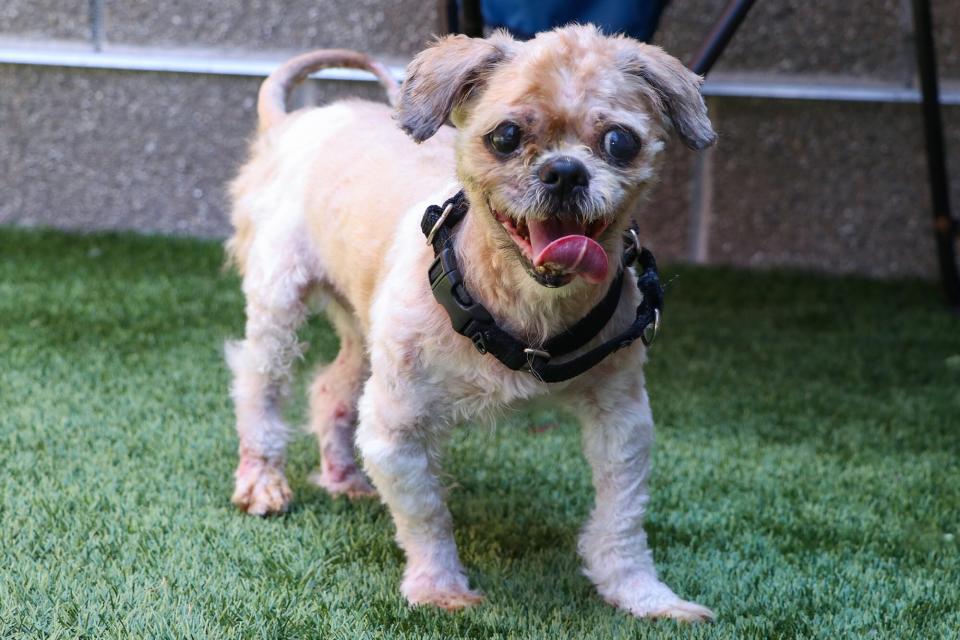 A happy Simon with his new haircut