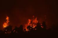 Flames approaching at Gouves village on the island of Evia, about 185 kilometers (115 miles) north of Athens, Greece, Sunday, Aug. 8, 2021. Pillars of billowing smoke and ash are blocking out the sun above Greece's second-largest island as a days-old wildfire devours pristine forests and triggers more evacuation alerts. (AP Photo/Petros Karadjias)