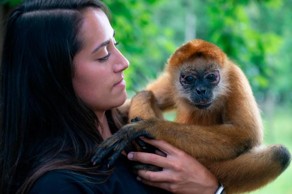 Bre Anderson, staff manager at Wild Acres, holds Kiki, a spider monkey, outside his enclosure at Wild Acres in McHenry on Thursday, July 6, 2023.