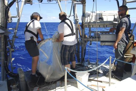 Scientists aboard the Tara Oceans vessel use plankton nets to strain microbes from seawater in this undated handout photo provided by the University of Arizona, May 21, 2015. REUTERS/Melissa Duhaime/Journal Science/Handout via Reuters