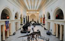 <p>This is one of Chicago's most anticipated family events of the summer. Children ages 6 to 12 can bring their sleeping bags and wander around the museum, participate in workshops, and hear bedtime stories underneath Sue, the T-Rex. Cost is $60 per person. Read more about it <a rel="nofollow noopener" href="http://www.fieldmuseum.org/at-the-field/programs/dozin-dinos" target="_blank" data-ylk="slk:here;elm:context_link;itc:0;sec:content-canvas" class="link ">here</a>.</p>