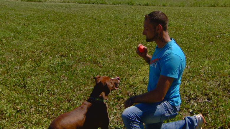 Recovering drug addicts and rescued pit bulls: An unlikely therapy brings unexpected results