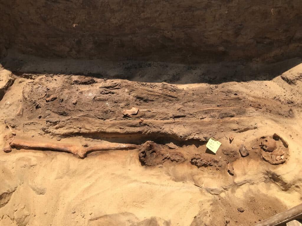 The tongues were found at an archaeological site north of Cairo (Supreme Council) 