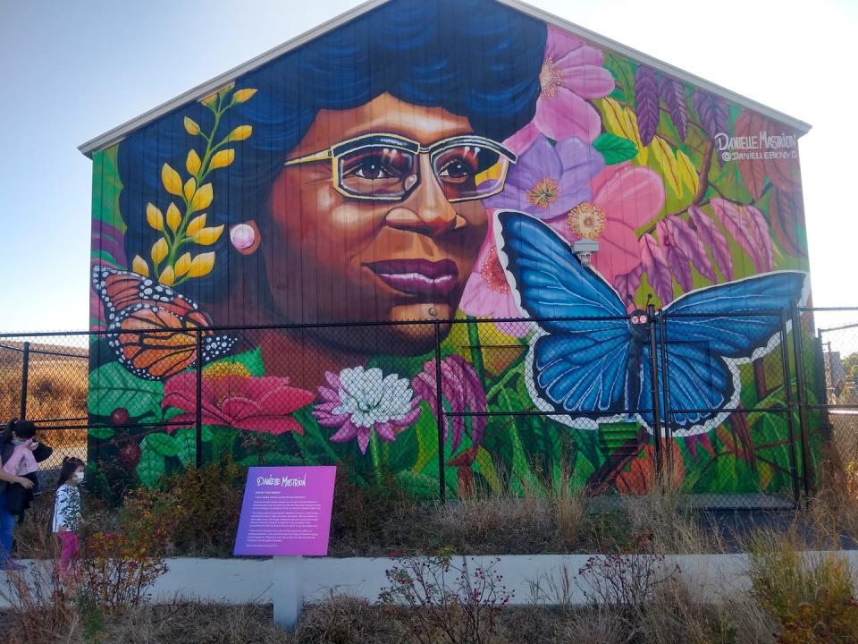 Colorful mural of Chisholm with butterflies and flowers