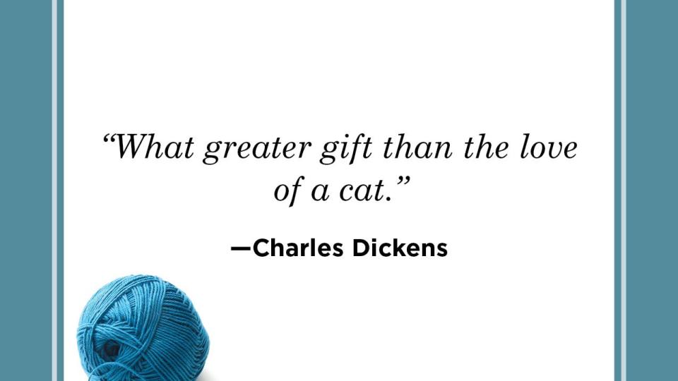 charles dickens cat quote