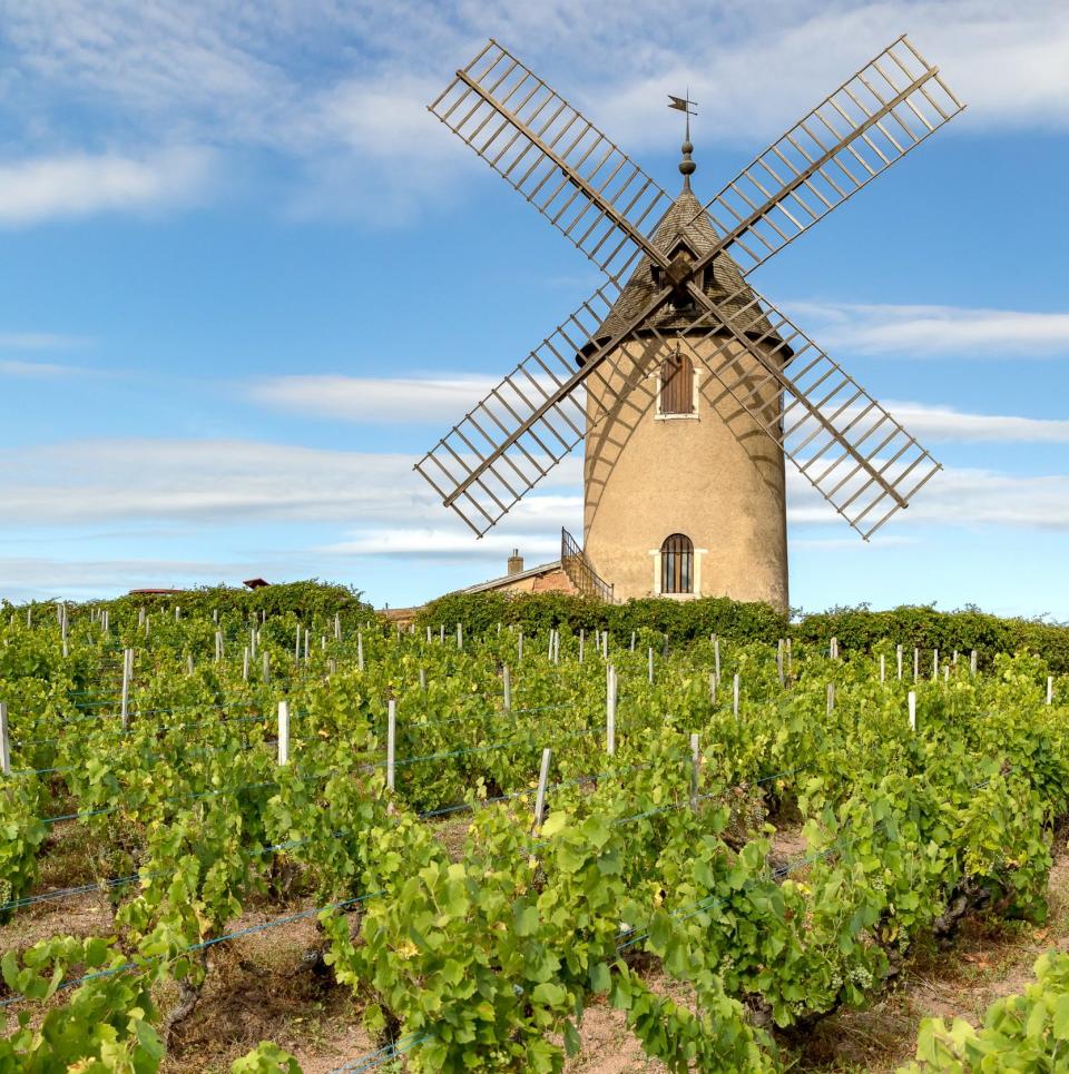 Moulin-Ã-Vent wine is named after a windmill built in the late fifteenth century