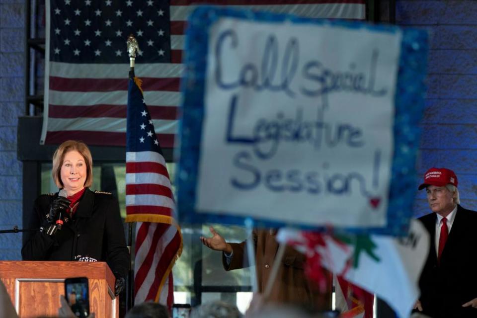 Sidney Powell speaks at a press conference on election results in Alpharetta, Georgia.