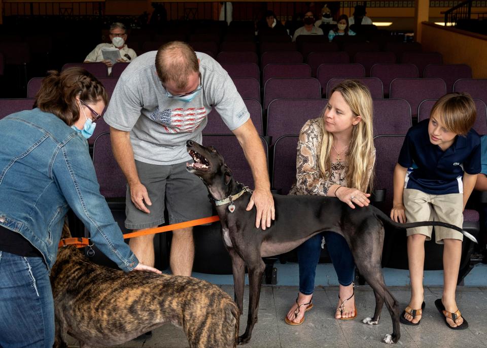 Amy Vater, left, and Jeff Boyer, pet retired racing dogs, MJ Cabreras and I Mark Azalia beside Crystal and Julian Freshwater who adopted the dogs from at the Palm Beach Kennel Club in West Palm Beach, Florida on the last day of legal dog racing in Florida on December 31, 2020. The club has been racing greyhounds for 88 years. GREG LOVETT/PALM BEACH POST