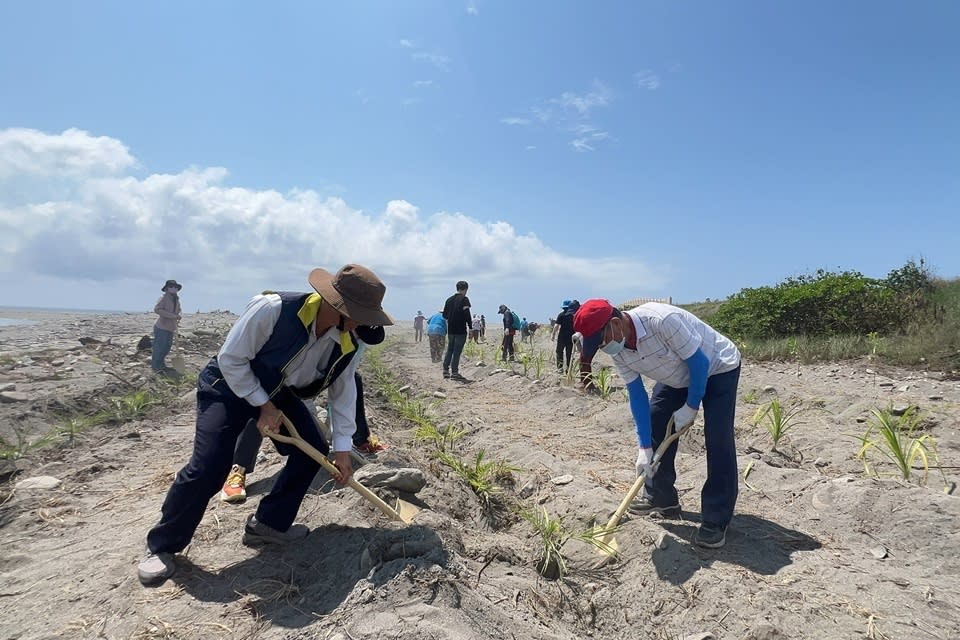 臺東縣環保局結合相關單位與在地居民，舉辦裸露地種樹活動，響應種樹綠化環境，改善卑南溪揚塵。