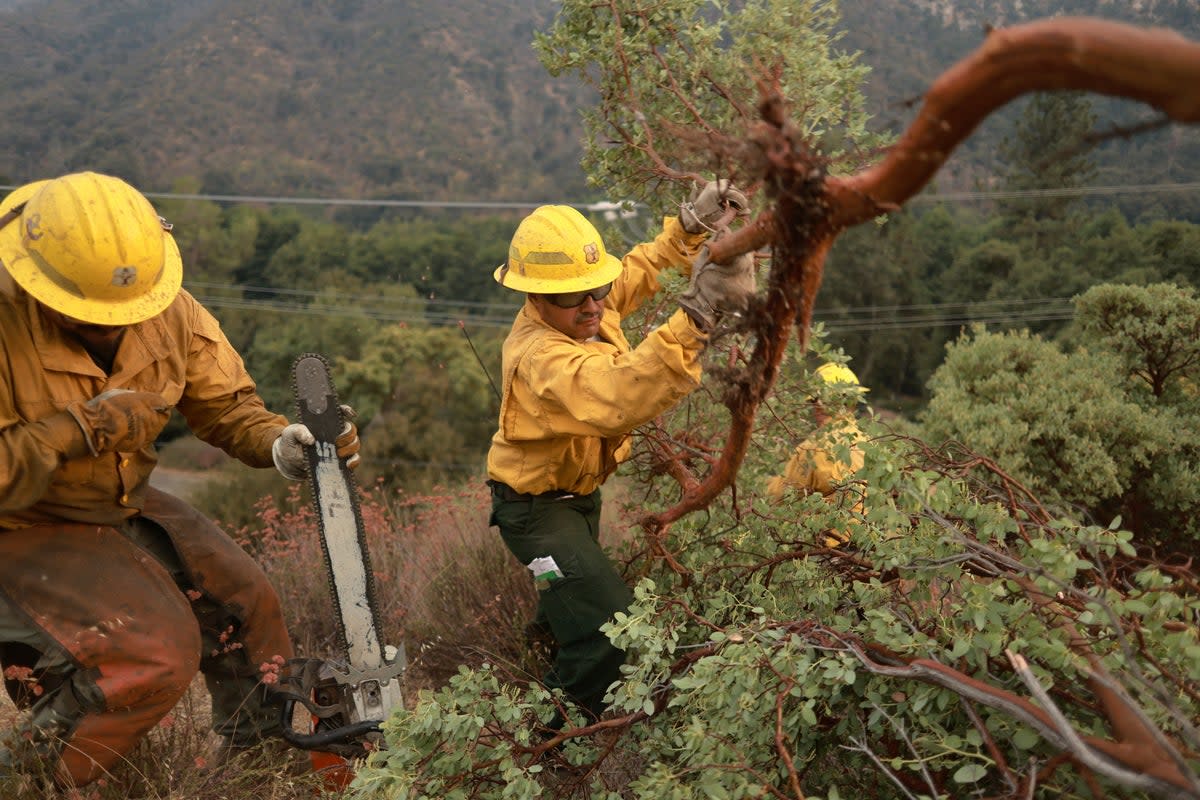 Firefighters work on the Line Fire on Sunday amid extreme weather and  severe temperatures. Thunderstorms are expected to pose a challenge to firefighting efforts. ((Photo by DAVID SWANSON/AFP via Getty Images))