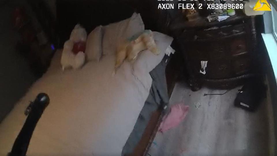 <div>The boy's father told police he kept his long guns unloaded under his side of the bed. But one was loaded and within reach of a child. (GCPD video)</div>