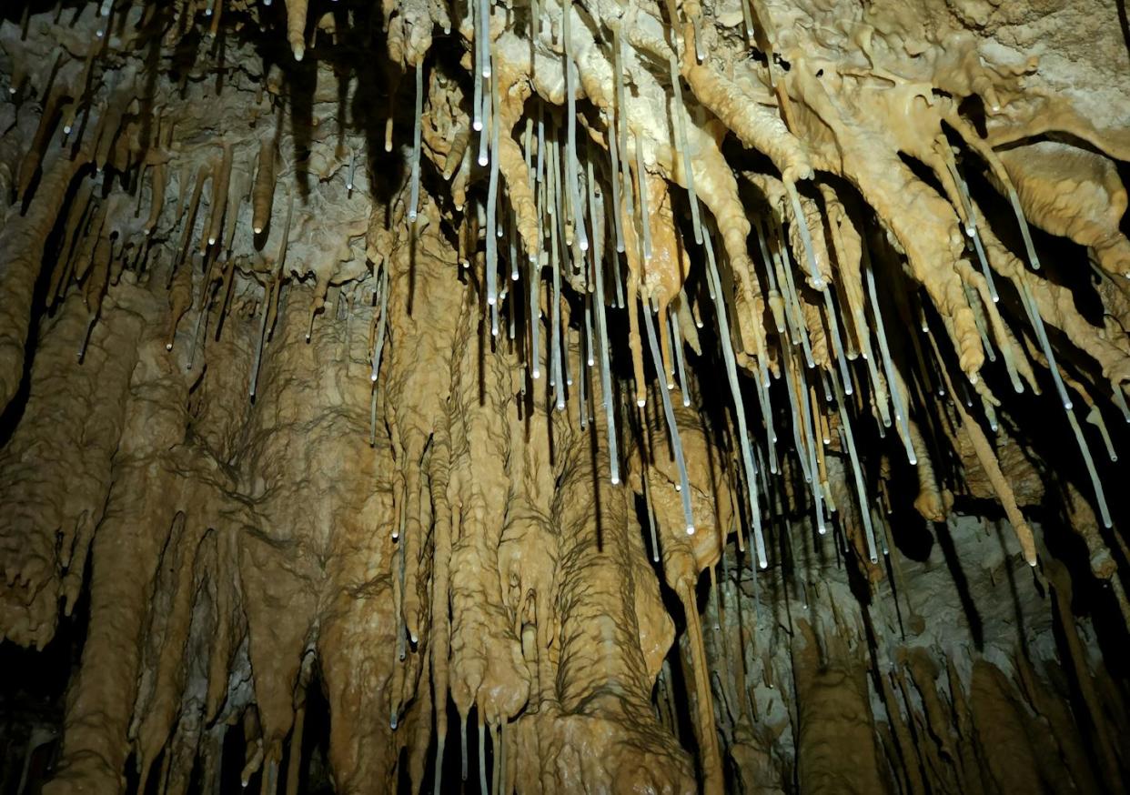 Cueva de Mendukilo (Navarra, España). Jorge Plaza Buendía, <a href="http://creativecommons.org/licenses/by-sa/4.0/" rel="nofollow noopener" target="_blank" data-ylk="slk:CC BY-SA;elm:context_link;itc:0;sec:content-canvas" class="link ">CC BY-SA</a>