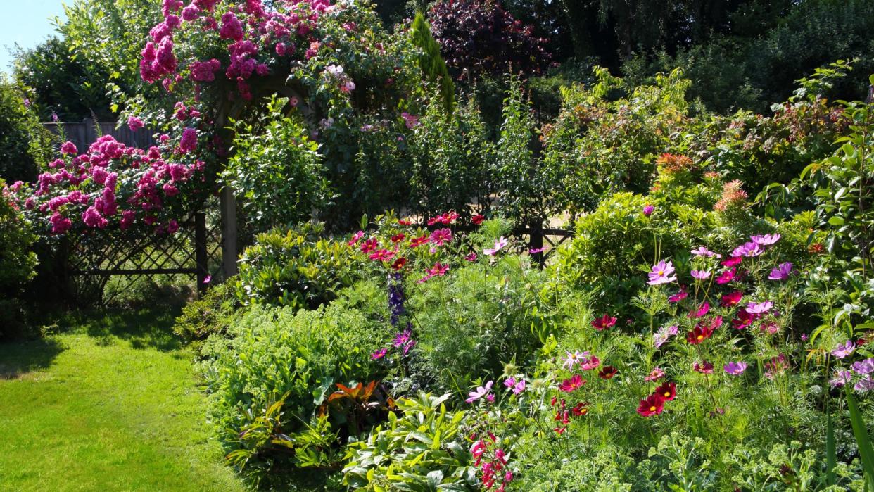  A garden in flower in summer 