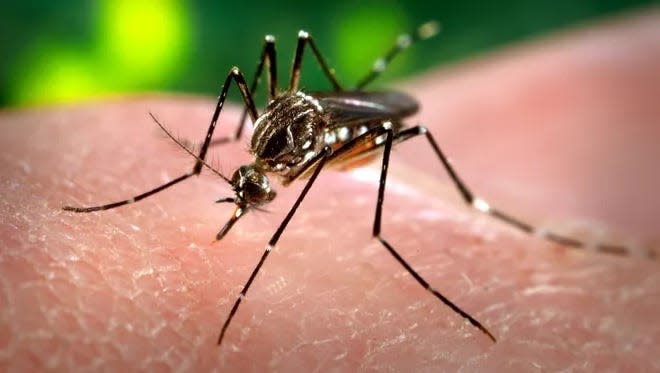 With the onset of warm weather, mosquitoes are becoming more active which increases the threat of mosquito-related diseases such as West Nile Virus (WNV).