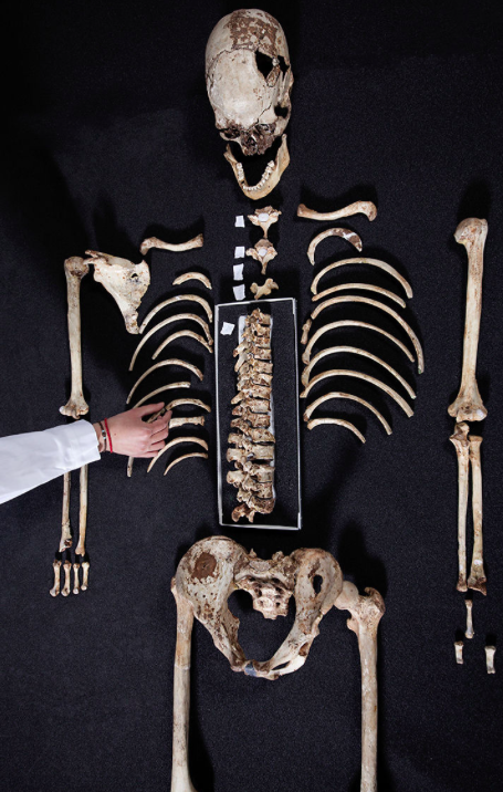 <em>Britain’s oldest complete skeleton was unearthed more than a century ago in Gough’s Cave in Somerset (PA)</em>