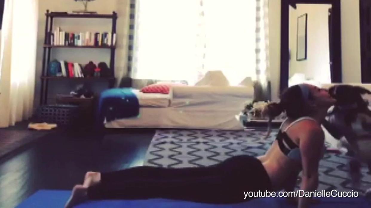 Pets Interrupting Yoga