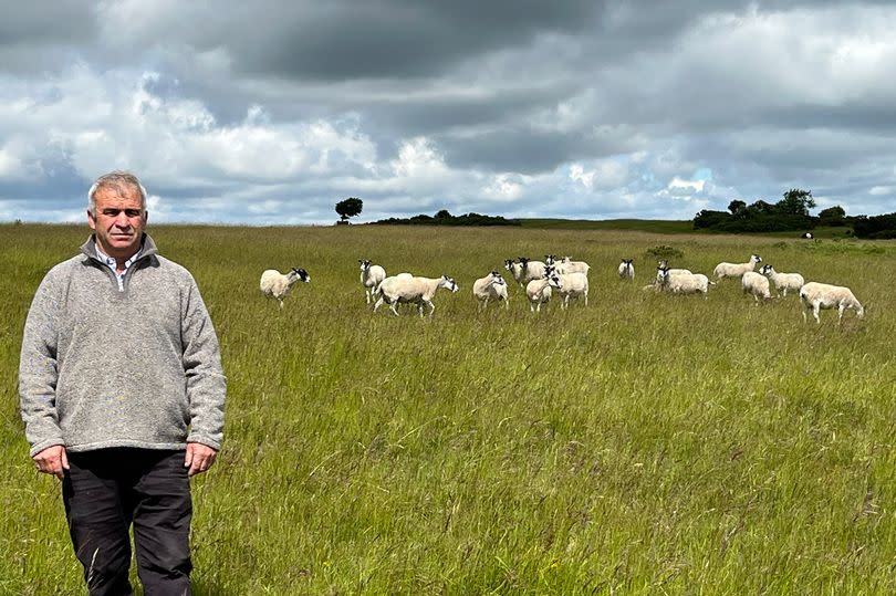 Ed said dealing with the deaths of some of his lambs, due to unusually cold weather on the common, had been “soul- destroying”