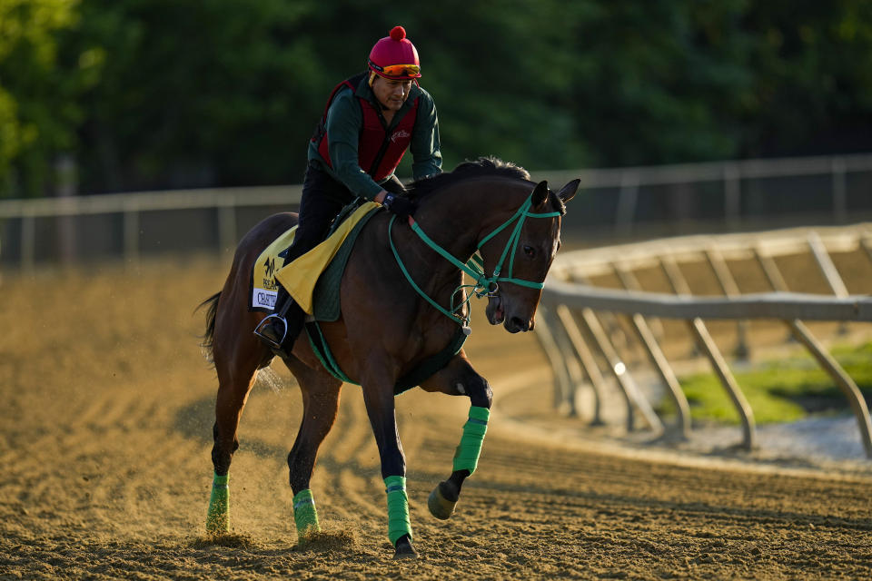 Preakness Stakes entrant Chase the Chaos works out ahead of the 148th running of the Preakness Stakes horse race at Pimlico Race Course, Thursday, May 18, 2023, in Baltimore. (AP Photo/Julio Cortez)