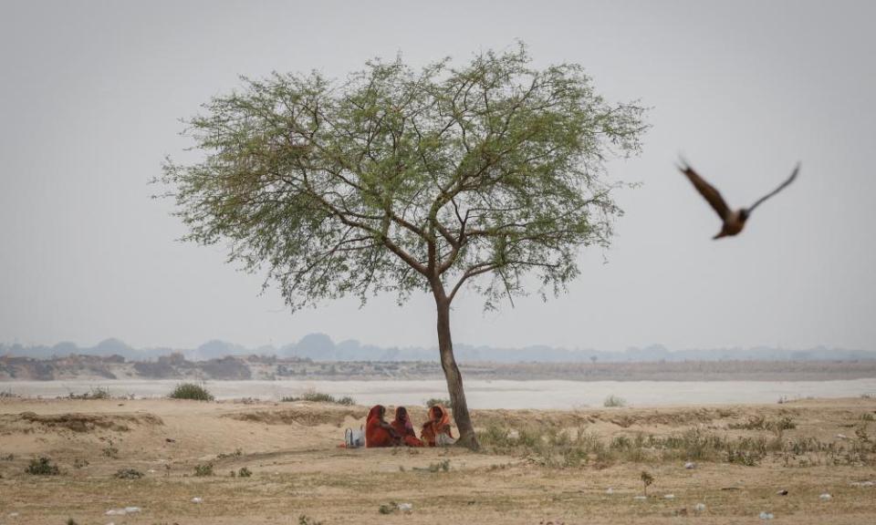 Women rest under a tree on a hot summer day in the northern Indian state of Uttar Pradesh