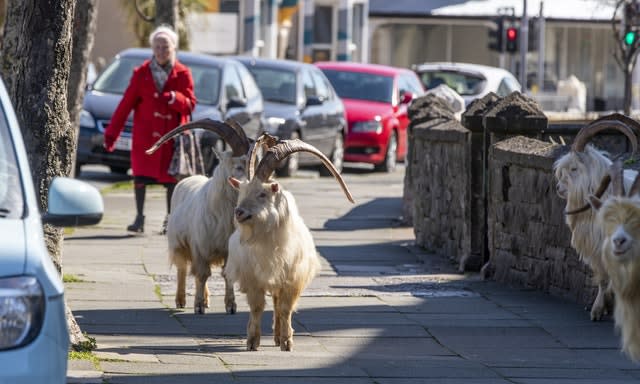 Local residents who were out on the streets were bemused by their presence 