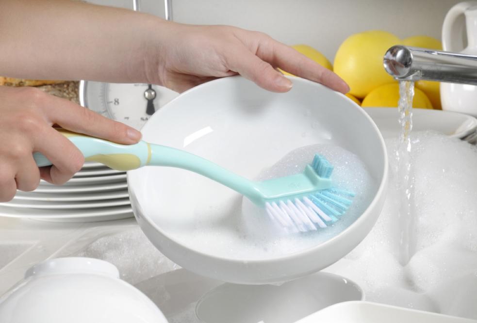 Ditch the dish sponge: Researchers say kitchen brushes are less