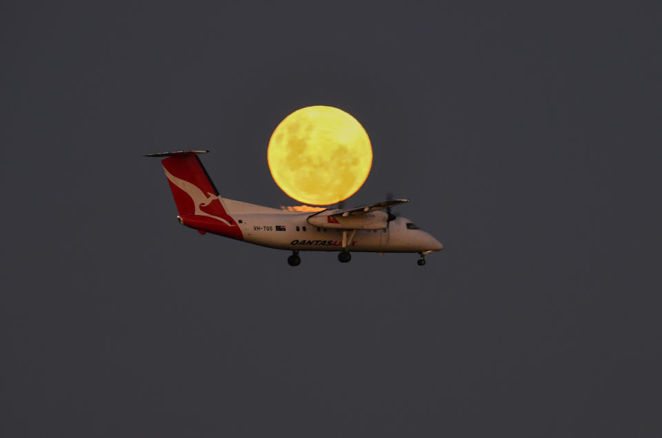 SYDNEY, AUSTRALIA - MAY 26: A Qantas plane before landing at Sydney Airport as a super blood moon rises on May 26, 2021 in Sydney, Australia. It is the first total lunar eclipse in more than two years, which coincides with a supermoon.  A super moon is a name given to a full (or new) moon that occurs when the moon is in perigee - or closest to the earth - and it is the moon's proximity to earth that results in its brighter and bigger appearance. (Photo by James D. Morgan/Getty Images)