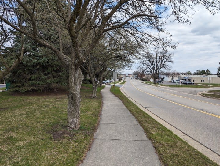 A photo of a sidewalk and a road outside, taken with the Google Pixel 8.