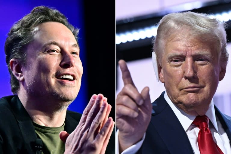 Elon Musk à Los Angeles le 6 mai 2024 et Donald Trump à Milwaukee, Wisconsin le 18 juillet 2024 (Frederic J. BROWN)