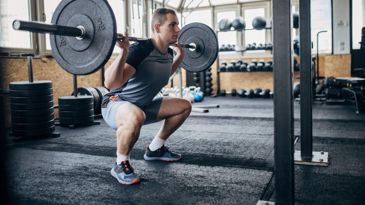 PRIME Fitness USA on Instagram: A few Plate Loaded Seated Rows