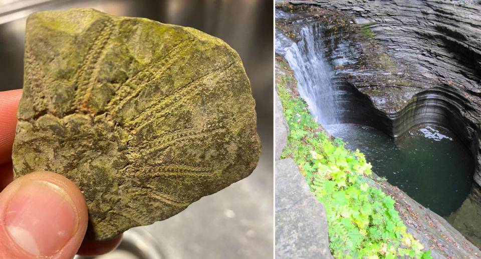 man holding rare fossil and photo of gorge in the Finger Lakes region New York