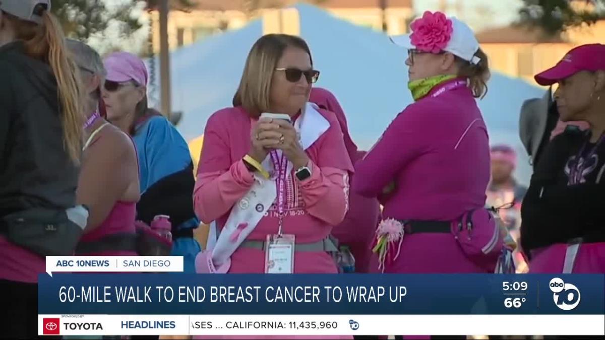 Susan G. Komen walk collects 5.3M over 3 days to beat breast cancer