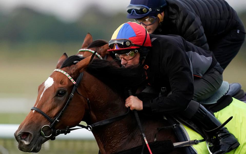 Frankie Dettori rides Enable on the Rowley Mile course at Newmarket last week as they prepare for the Arc - Getty Images Europe