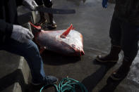 An Opah sits hauled onto a dock for sale Friday, March 20, 2020, in San Diego. Fishermen coming home to California after weeks at sea are find a state all but shuttered due to coronavirus measures, and nowhere to sell their catch. A handful of tuna boats filled with tens of thousands of pounds of fish are now floating off San Diego's coast as they scramble to find customers. (AP Photo/Gregory Bull)