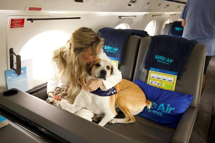 Aerolínea exclusiva para mascotas y sus dueños lanzará vuelos en mayo