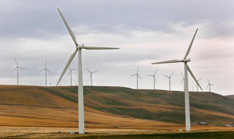 Turbines at the Nine Canyon Wind Farm near Lower Blair Road south of Kennewick spin. A larger wind farm is proposed to be added along the Horse Heaven Hills.