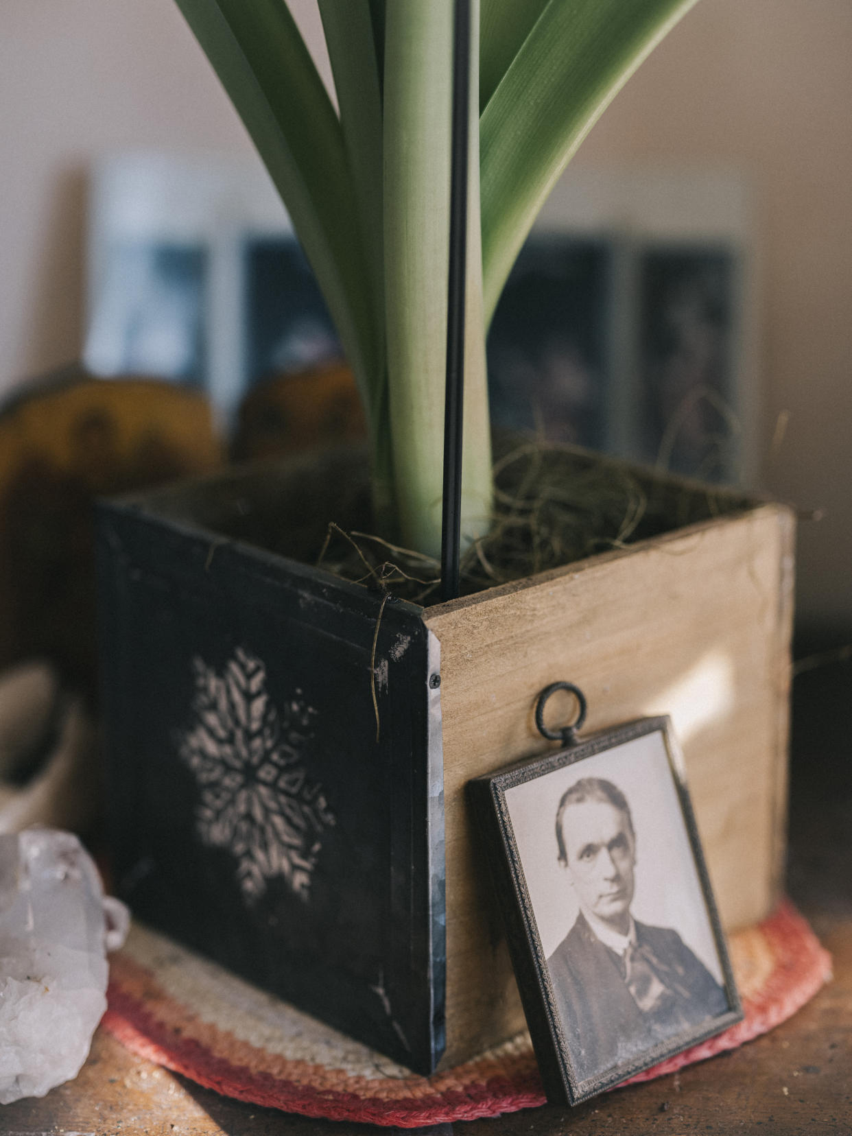 Un retrato de Rudolf Steiner cerca de la cama de Philip Incao, quien murió de cáncer de próstata un mes después, en su casa en Crestone, Colorado, el 30 de enero de 2022. (Benjamin Rasmussen/The New York Times).