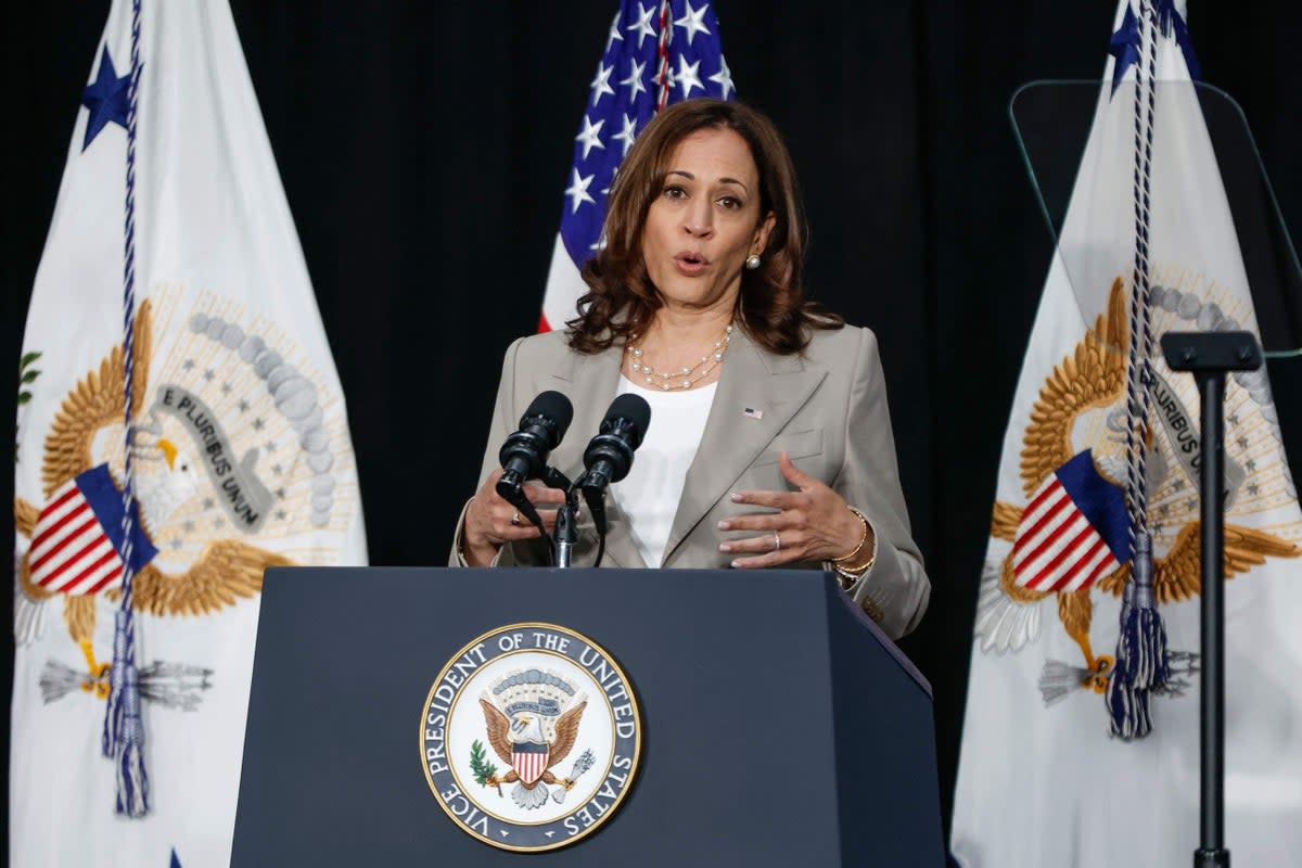 Harris said she was shocked by the Supreme Court’s reversal of Roe v Wade  (AFP via Getty Images)