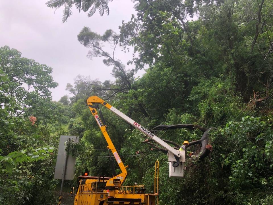 泰武鄉路樹倒塌壓到高壓電線，導致456戶停電，台電公司緊急派員搶修。（圖：台電屏東營業區處提供）