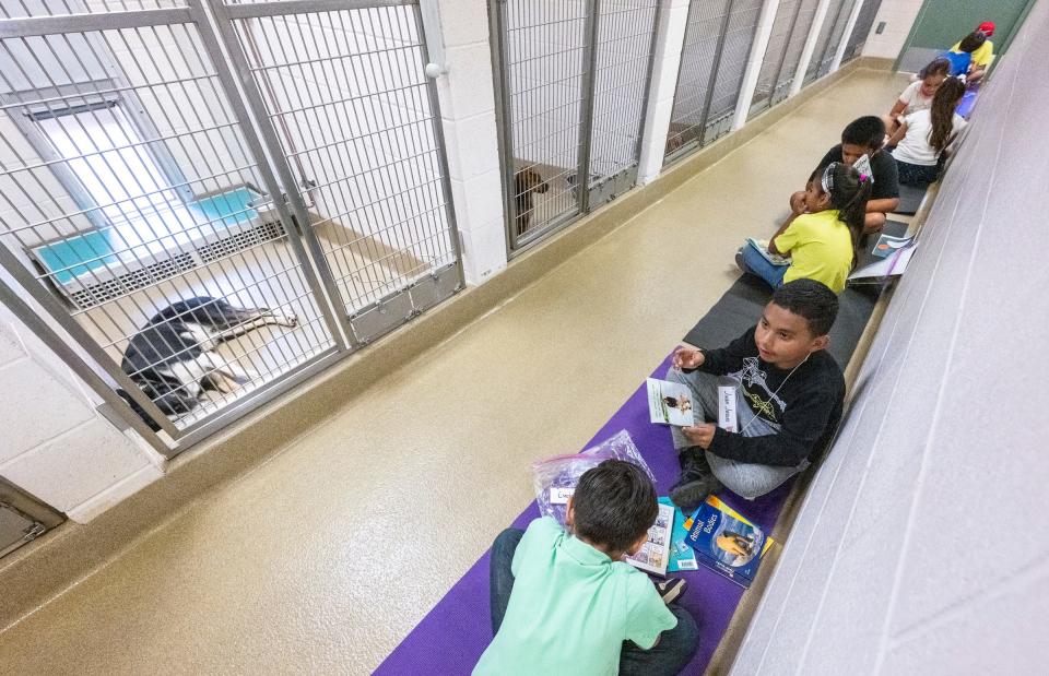 Lincoln Elementary students Luciano Beltran, left, and Juan Jesus Perez read to dogs in the Visalia Animal Care Center on Tuesday, June 20, 2023. The 10 Exeter students in their group will have five visits with the dogs doing the summer.