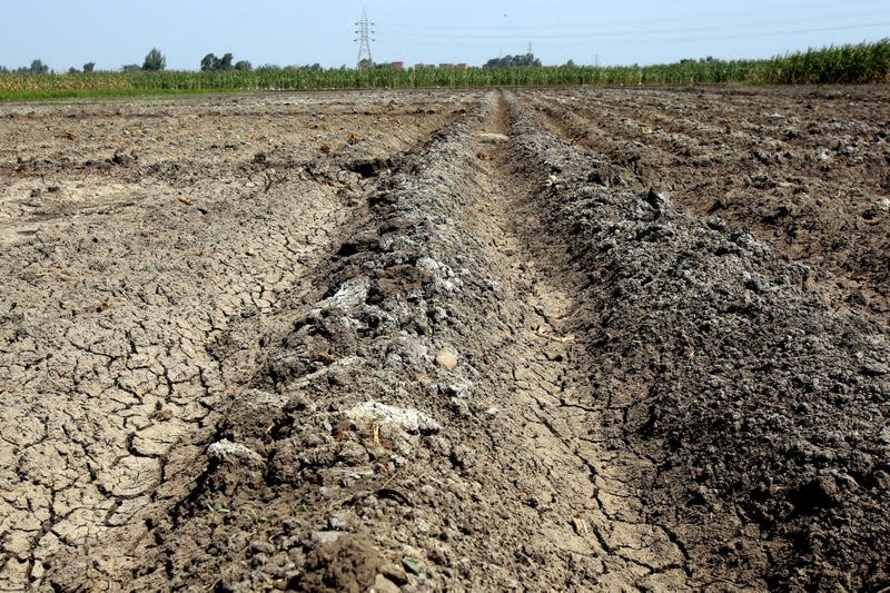 Salt is visible on the surface of soil on a farm in Egypt's Nile Delta.