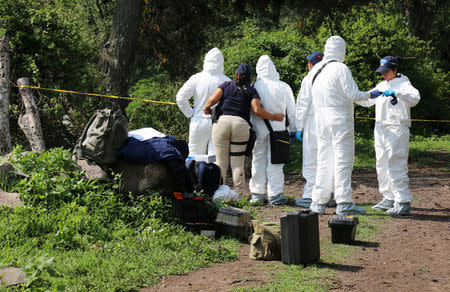 Forensic technicians work at a crime scene where nine people were found dead in the municipality of Cuitzeo, in Mexico's western state of Michoacan, July 30, 2016. REUTERS/Fernando Maldonado