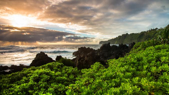 QuekZongYe / Getty Images/iStockphoto