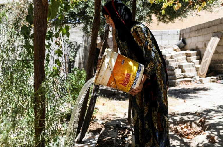 Warda al-Jassem waters her grape vine during a trip back to her home in Raqa on July 15, 2017