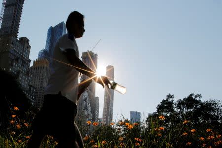 A man carries a bottle of water on a hot summer day in Central Park, Manhattan, New York, U.S., July 1, 2018. REUTERS/Eduardo Munoz