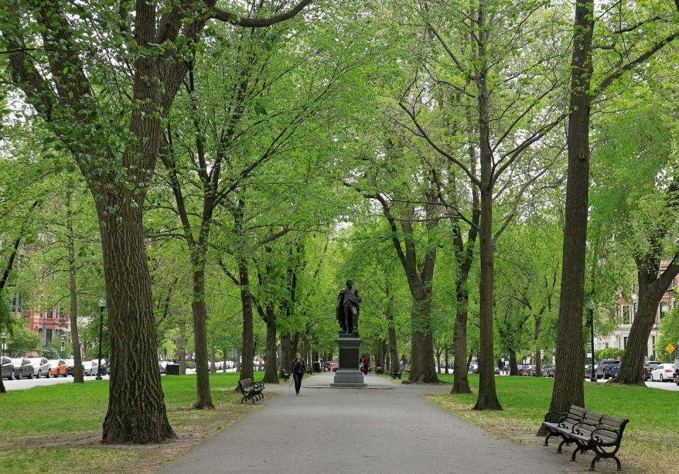 See the Best of the Back Bay Along the Commonwealth Avenue Mall